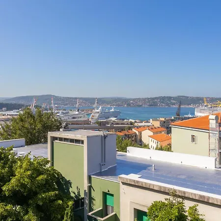 The Black Swan Daire