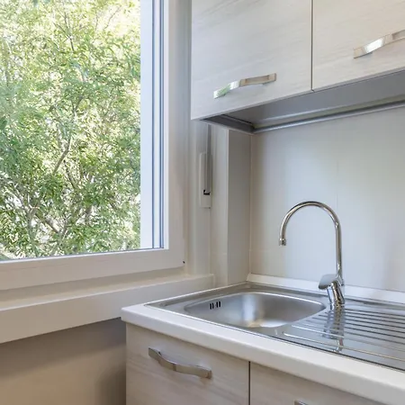 The Black Swan Trieste