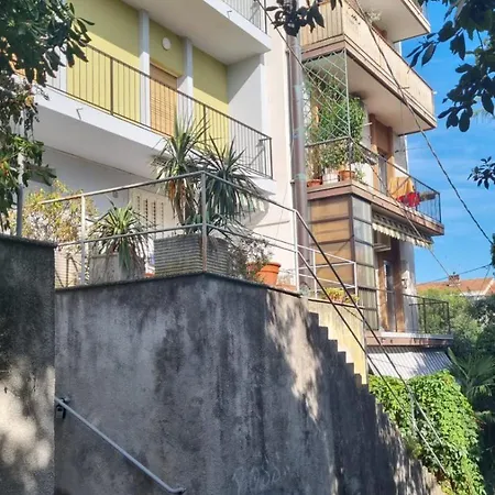 The Black Swan Trieste