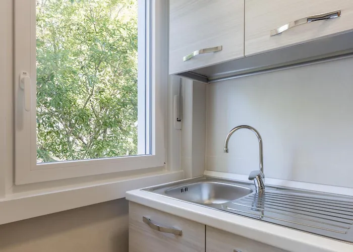 The Black Swan Trieste